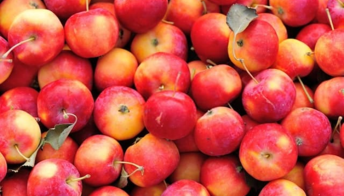 10 Fascinating Facts About Apple You Didn’t Know